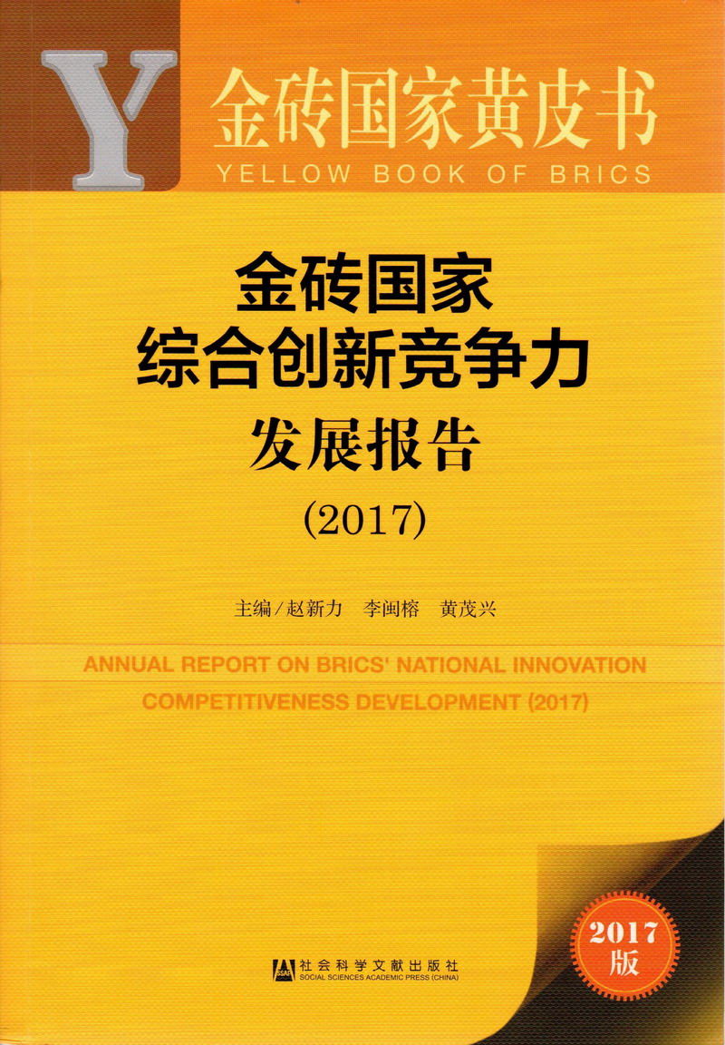 差屄直播金砖国家综合创新竞争力发展报告（2017）